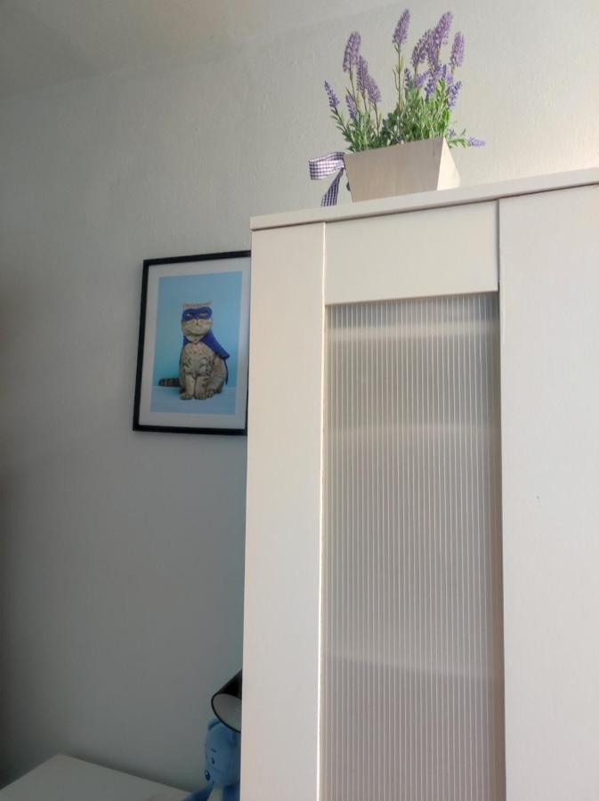 Single Room No.4 In The Very Center Of Varsó Kültér fotó
